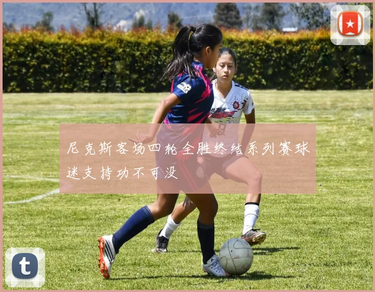 尼克斯客场四轮全胜终结系列赛球迷支持功不可没