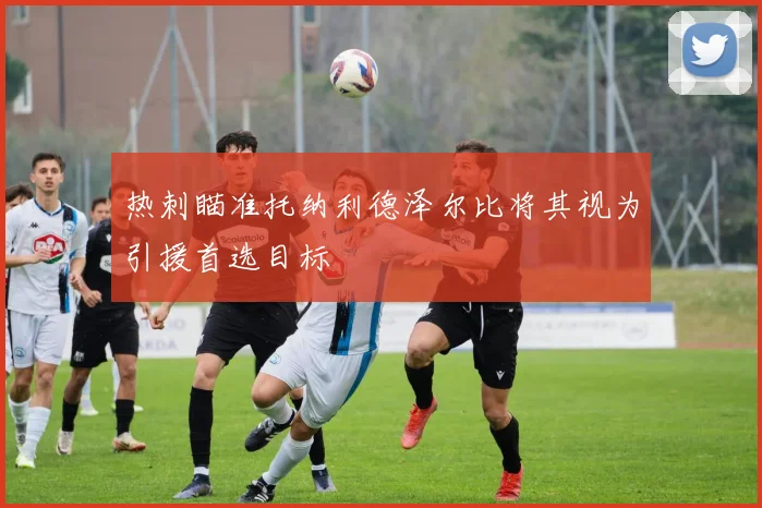 热刺瞄准托纳利德泽尔比将其视为引援首选目标