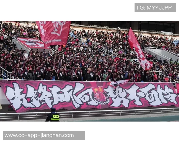 致敬石家庄铁人球迷你们与我们共度风雨携手并肩永远是最棒的第十二人 致敬石家庄铁人球迷你们与我们共度风雨携手并肩永远是最棒的第十二人